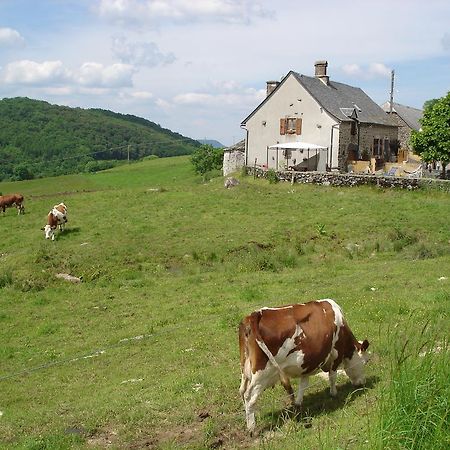 Vila Chez Marraine Sauvat Exteriér fotografie