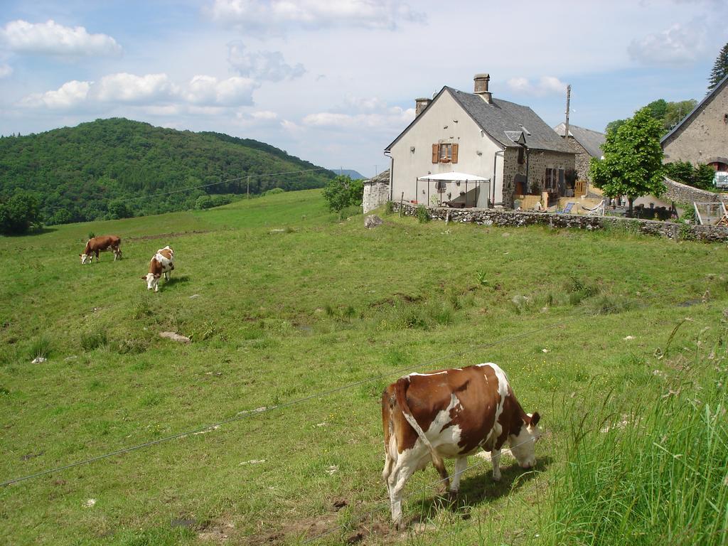 Vila Chez Marraine Sauvat Exteriér fotografie